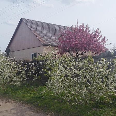 Садиба Зеленого Туризму «Золота Рибка» Medvedevka Exterior photo