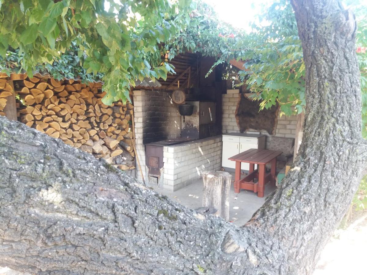 Садиба Зеленого Туризму «Золота Рибка» Medvedevka Exterior photo