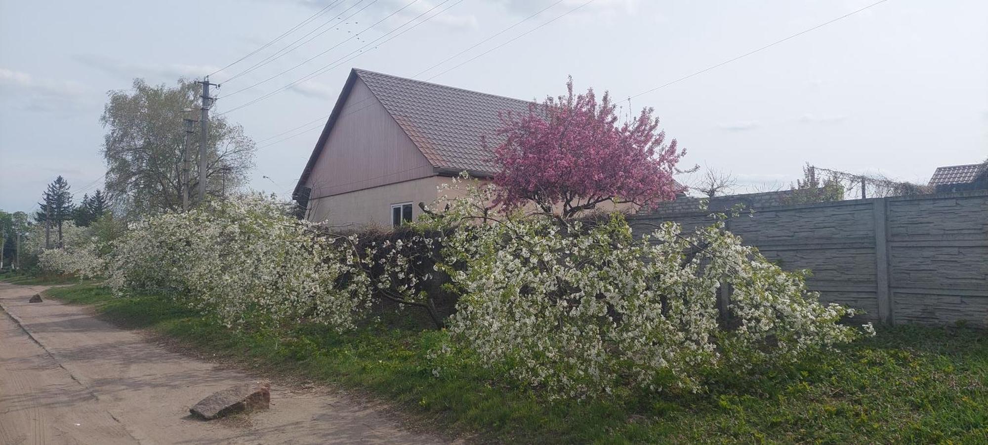 Садиба Зеленого Туризму «Золота Рибка» Medvedevka Exterior photo
